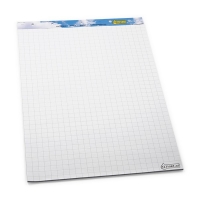 123encre bloc papier quadrillé pour chevalet de conférence 65 x 98 cm (2 x 50 feuilles) - blanc 300265
