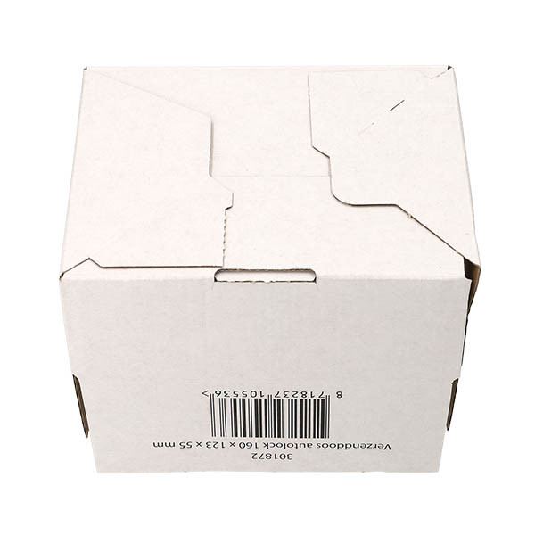 123encre boîte d’expédition autolock 160 x 123 x 55 mm (10 pièces) 301872 - 6