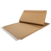123encre boîte d'emballage 620 x 420 x 54 mm A2 (10 pièces) 302524