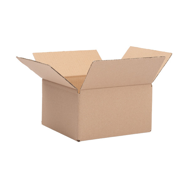 123inkt 123encre carton d'expédition 200 x 200 x 110 mm (10 pièces) RD-351126-10C 301868 - 1