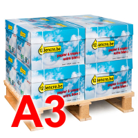 123inkt 123encre papier à copier mini palette 8 boîtes de 2500 feuilles A3 - 80 g/m² FSC® Mix Credit 523113 A3MINIPALLETC 300646