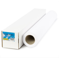 123inkt 123encre rouleau de papier standard 610 mm (24 pouces) x 50 m (80 g/m²) C13S045273C Q1396AC 155082