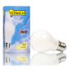 123led E27 ampoule LED à filament poire mat dimmable 7W (60W)