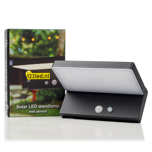 123inkt 123led applique solaire avec capteur Greenwich KH1966A LDR08543 - 2