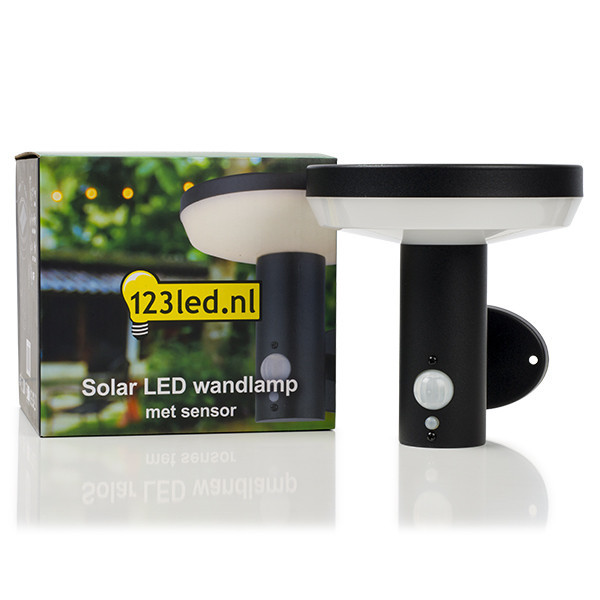 123inkt 123led applique solaire avec capteur Notting Hill KH1960AWU-1 LDR08544 - 2