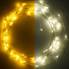 123led guirlande lumineuse à piles 5m blanc extra chaud et blanc chaud 100 lumières argent LDR07281 - 1