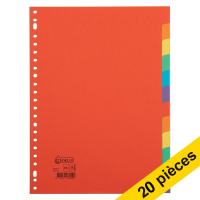 123inkt Offre : 20x 123encre intercalaires colorés en carton A4 avec 12 onglets (23 trous)  301335