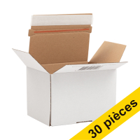 Offre : 3x 123encre carton d'expédition autolock 160 x 123 x 110 mm (10 pièces)
