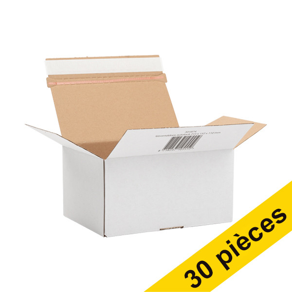 123inkt Offre : 3x 123encre carton d'expédition autolock 215 x 152 x 110 mm (10 pièces)  301961 - 1