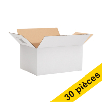 Offre : 3x 123encre carton d'expédition autolock 310 x 220 x 150 mm (10 pièces)