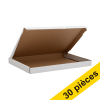 Offre : 3x 123encre carton pour boîte aux lettres A4 345 x 255 x 28 mm (10 pièces)