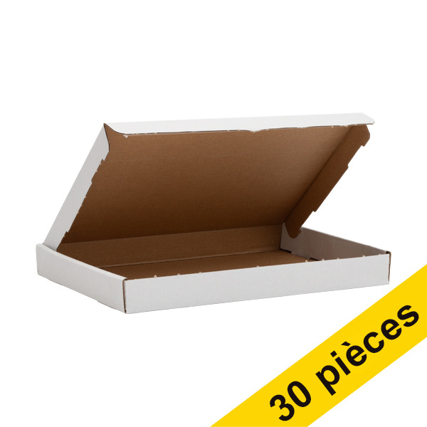 123inkt Offre : 3x 123encre carton pour boîte aux lettres A5 260 x 181 x 28 mm (10 pièces)  301964 - 1