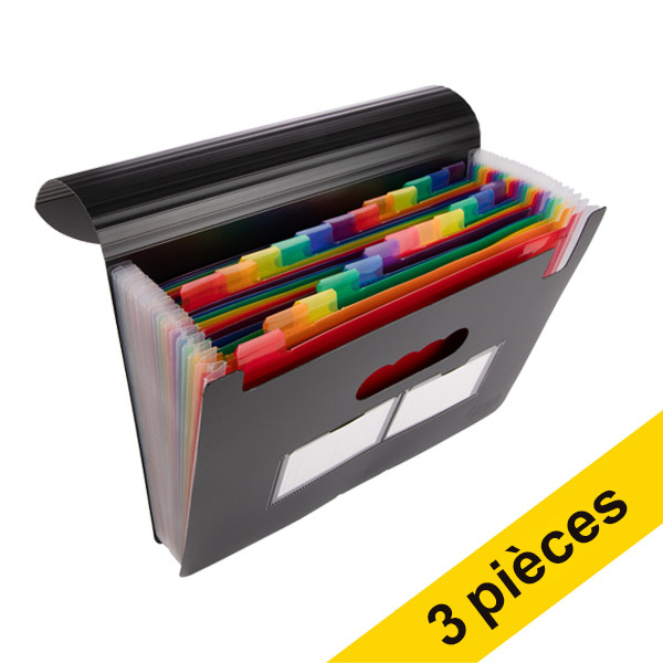 Offre : 3x 123encre trieur valisette (24 compartiments) - noir 301312 - 1