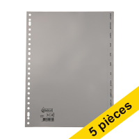 Offre : 5x 123encre intercalaires mensuels en plastique A4 avec 12 onglets (23 trous) - gris