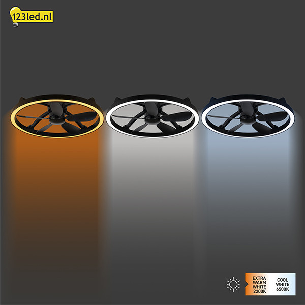 Ventilateur de plafond avec éclairage LED | Ø 61,3 cm | 2200-6500 K | Noir | 27 W LDR02467 - 4