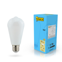 123led ampoule LED E27 Edison mate dimmable 7W (60W) LDR02116 123led ampoule LED E27 Edison mate dimmable 7W (60W) LDR02116