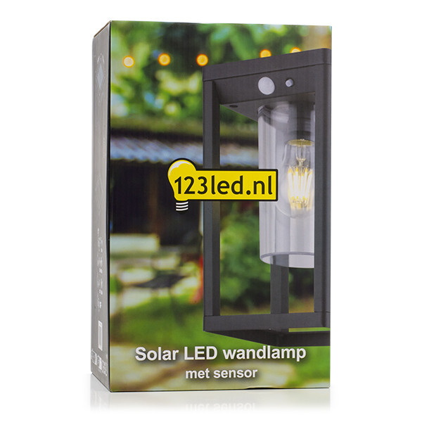 123led applique murale solaire avec capteur Kensington LDR08542 123led applique murale solaire avec capteur Kensington LDR08542 - 5