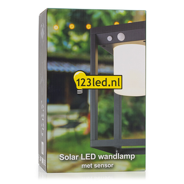123led applique solaire avec capteur Kingsbridge LDR08540 123led applique solaire avec capteur Kingsbridge LDR08540 - 5