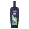 Andrélon shampoing quotidien pour hommes (300 ml) SAN00082 - 1