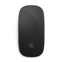 Apple Magic Mouse souris sans fil - noir 828673