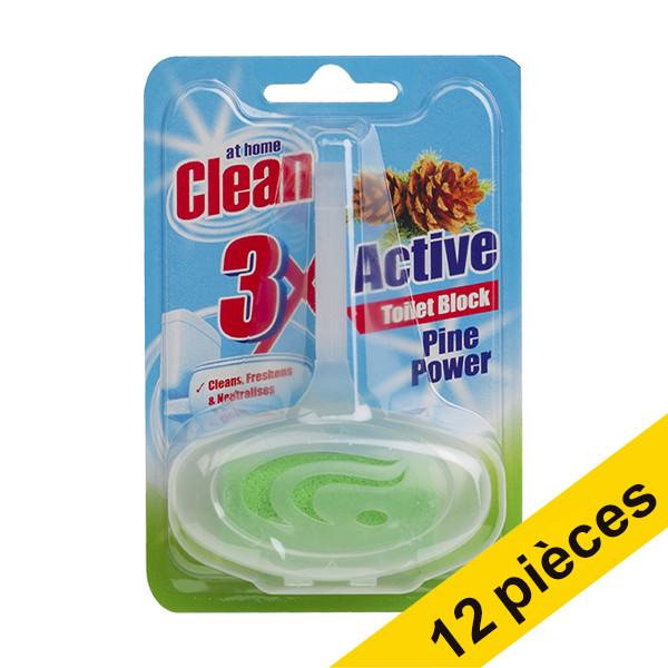 At Home Offre : 12x At Home Clean bloc WC Pine (40 grammes)  404156 - 1