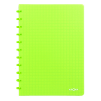 Atoma Trendy cahier quadrillé A4 72 feuilles (5 mm) - vert transparent 4137303 405241