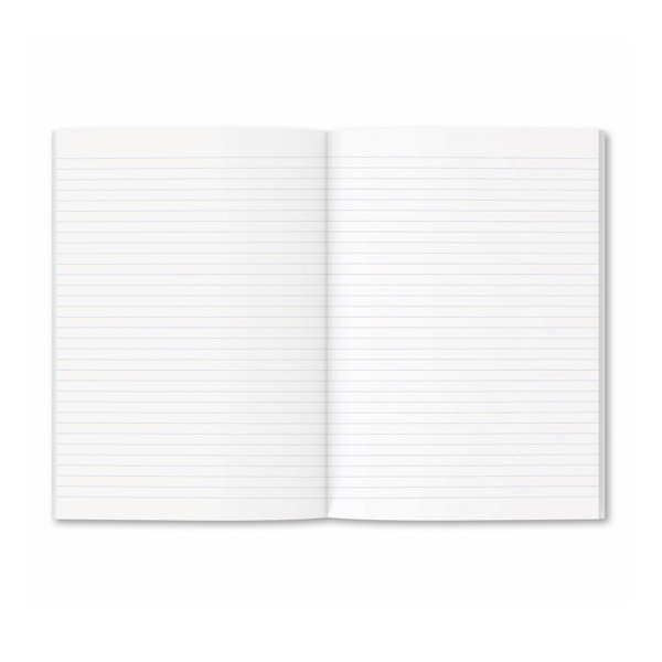 Aurora papier comptable A4 ligné 80 g/m² (480 feuilles) MINA4T 330046 - 2