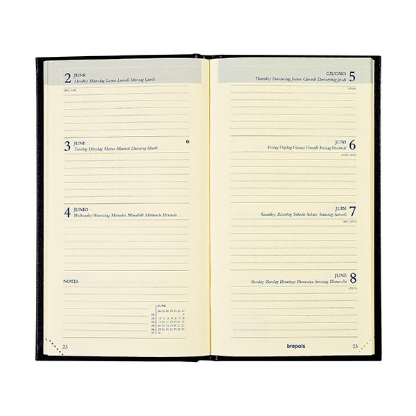Brepols Interplan Lima agenda semainier 2026 (1 semaine sur 2 pages) 6 langues - bleu 0.736.1255.06.6.0 262493 - 2