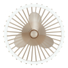 Ventilateur de plafond avec éclairage LED | Capo | Ø 48 cm | 2700-6500K | Couleur sable | 36W | Brillant LBR00006 - 3