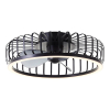 Ventilateur de plafond avec éclairage LED | Capo | Ø 48 cm | 2700-6500K | Noir | 36W | Brillant LBR00005 - 1