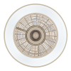 Ventilateur de plafond avec éclairage LED | Catania | Ø 48,6 cm | RGBIC + 2700-6500K | Sable | 40W | Brillant LBR00009 - 3