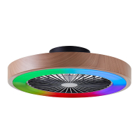 Ventilateur de plafond avec éclairage LED | Modèle extra-plat | Ø 49 cm | RGBIC + 3000-6500K | Bois | 40W | Brillant LBR00003