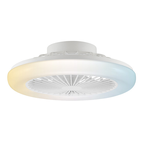 Ventilateur de plafond avec éclairage LED | Montero | Ø 42 cm | 2700-6500K | Blanc | 20W | Brillant LBR00010 - 1