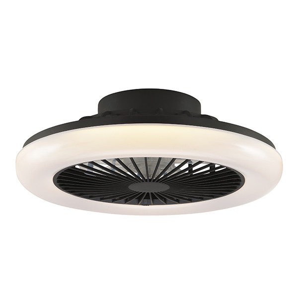 Ventilateur de plafond avec éclairage LED | Montero | Ø 42 cm | 2700-6500K | Noir | 20W | Brillant LBR00011 - 2