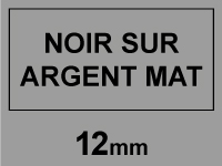 Brother Marque 123encre remplace Brother TZe-M931 ruban mat 12 mm- noir sur argent TZeM931C 080383