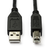 Câble d'imprimante USB longueur 1 mètres - noir CCGL60100BK10 N010204000