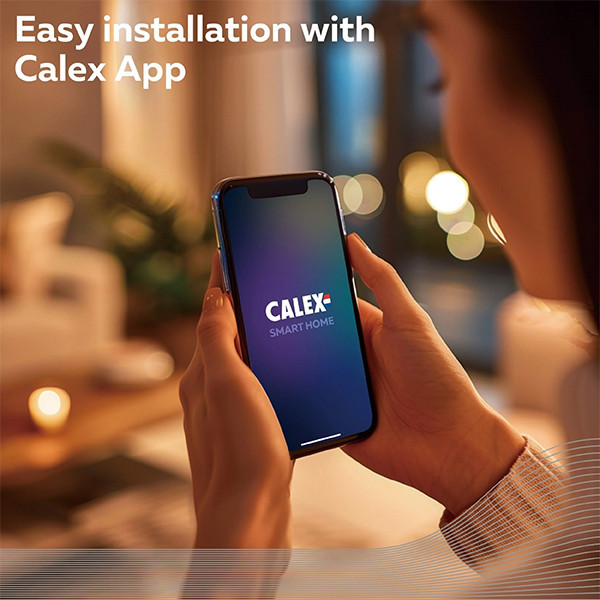 Calex E27 ampoule intelligente Edison ST64 wifi (Tuya) - or LCA01193 - 4