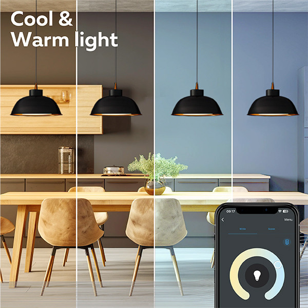 Calex E27 ampoule intelligente poire A60 wifi (Tuya) - or LCA01192 - 3