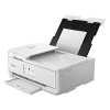 Canon PIXMA TS9551Ca imprimante à jet d'encre A3 multifonction avec wifi en 1) 2988C056 819293 - 2