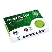 Clairefontaine Evercolor papier couleur recyclé 80 g/m² A4 (500 feuilles) - tilleul 250392