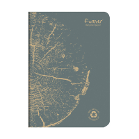 Clairefontaine Forever Premium carnet de notes A5 ligné 48 feuilles - gris 684864C 250452