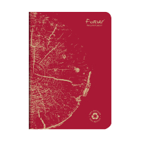 Clairefontaine Forever Premium carnet de notes A5 ligné 48 feuilles - rouge 684863C 250451