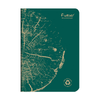 Clairefontaine Forever Premium carnet de notes A5 ligné 48 feuilles - vert sapin 684861C 250449