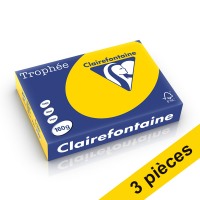 Offre : 3x Clairefontaine papier couleur 160 g/m² A4 (250 feuilles) - bouton d'or