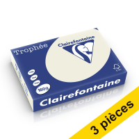 Offre : 3x Clairefontaine papier couleur 160 g/m² A4 (250 feuilles) - gris perle