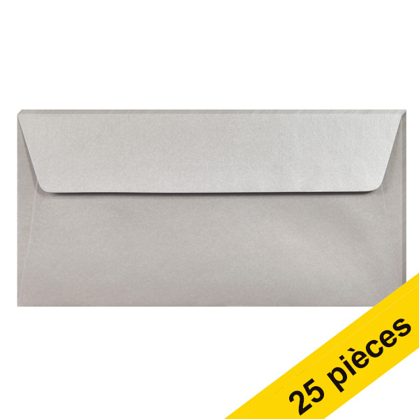 Offre : 5x Clairefontaine enveloppes de couleur EA5/6 120 g/m² (5 pièces) - argent 424794 - 1