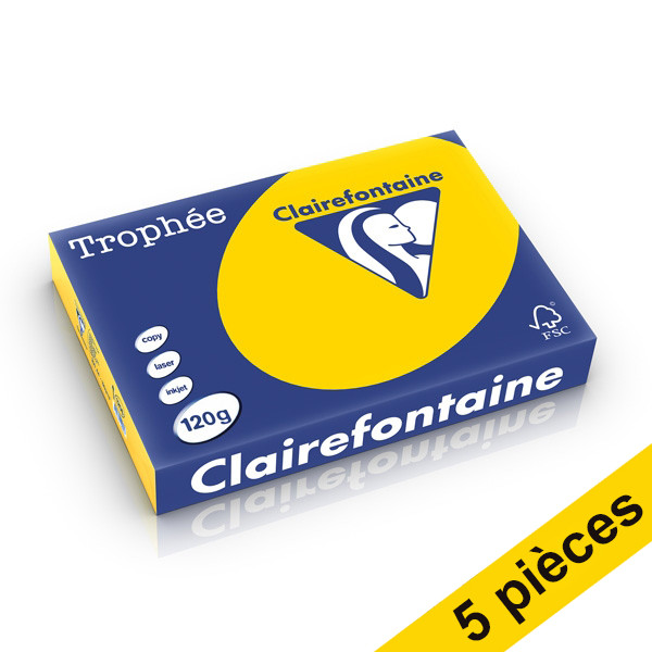 Offre : 5x Clairefontaine papier couleur 120 g/m² A4 (250 feuilles) - bouton d'or 250419 - 1