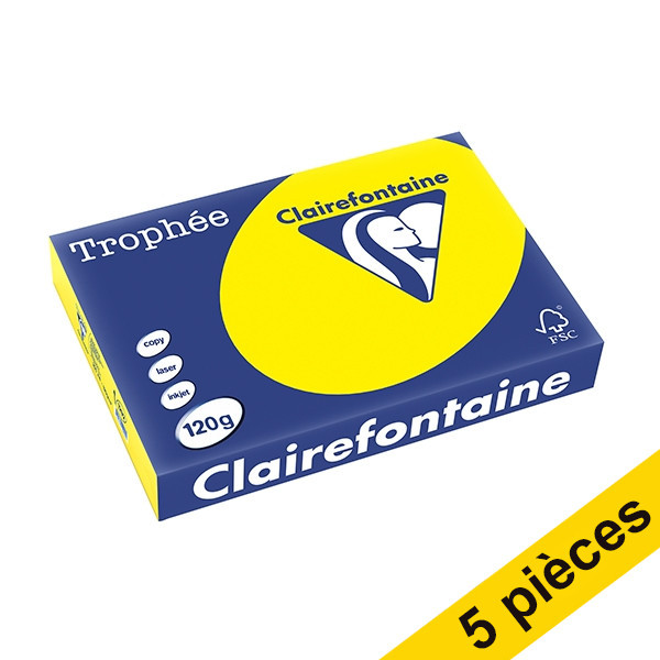 Offre : 5x Clairefontaine papier couleur 120 g/m² A4 (250 feuilles) - jaune soleil 250477 - 1