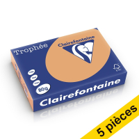 Offre : 5x Clairefontaine papier couleur 80 g/m² A4 (500 feuilles) - caramel