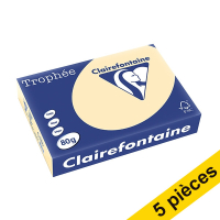 Offre : 5x Clairefontaine papier couleur 80 g/m² A4 (500 feuilles) - chamois